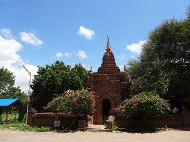 ピンクの花々に囲まれた仏塔