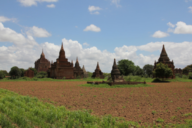 田んぼの中にも向こうにもバガンの遺跡