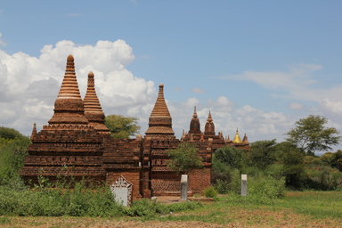 それぞれ個性を持った仏塔がいくつもまっすぐと遠くまで並ぶ