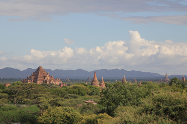 いくつもの仏塔がジャングルから頭を出すバガンの絶景