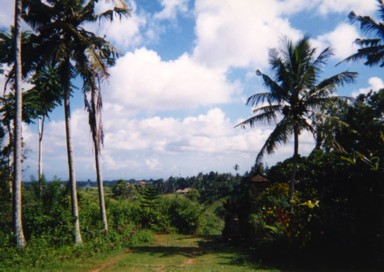 ウブドの何もない誰もいない散歩道