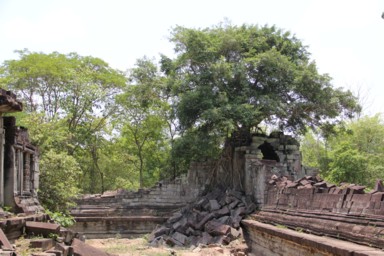 ラピュタの世界を思わせる巨大な1本の木と遺跡