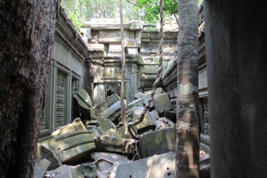 崩れていたり崩れていなかったりがいい具合のベンメリア