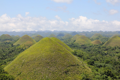 チョコレート・ヒルのいくつも連なる丘