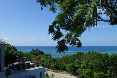 ボホール島の車窓から現れた海の青