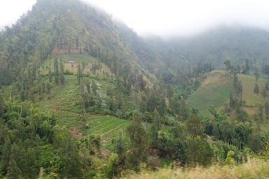 外輪山の山の景色