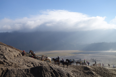 ブロモ山の頂上へ馬で登る観光客