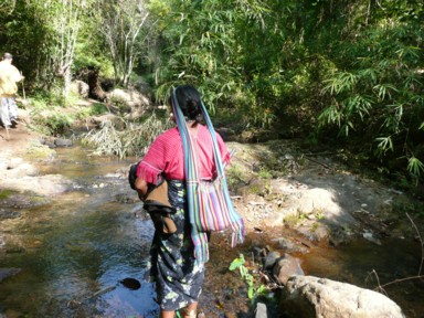 チェンマイ郊外の少数民族の女性が頭にかばんの紐をひっかけ森の奥へ消えていく姿
