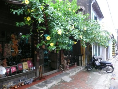 花が軒のように垂れたホイアンの家