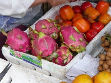 南国らしさを主張するドラゴンフルーツの山