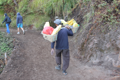 重い硫黄を山の下まで運ぶ人