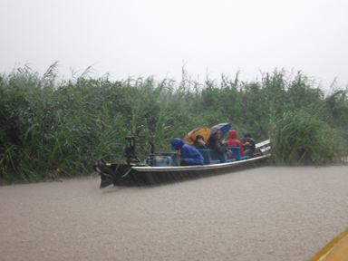 インレー湖の激しいスコールの雨でたまった水を小さなバケツでかき出す小さなボートの作業姿