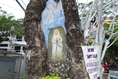 街角の街路樹にさりげなくマリアの絵