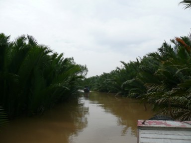 小さな川の両側にニッパヤシが生い茂る水路