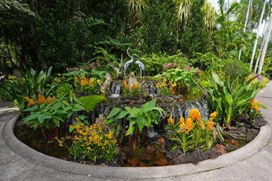 色とりどりの色彩豊かな花が咲くボタニックガーデン