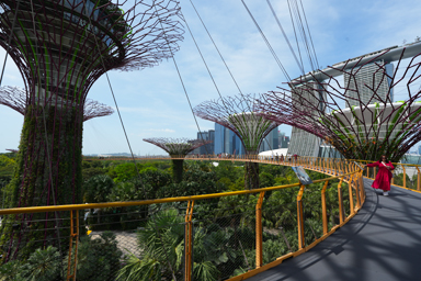 ガーデンズ・バイ・ザ・ベイのスカイウェイからの黄色い橋の眺め