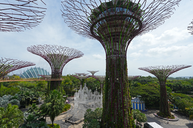 スカイウェイからのスーパーツリー群