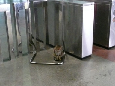 地下鉄の改札口の横に立つ銅像のような猫