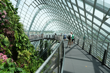 クラウドフォレストの頂上から見下ろす景色