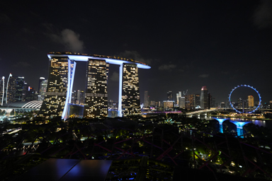 スーパーツリー・オブザーパトリーからのマリーナベイ・サンズや高層ビル群の夜景