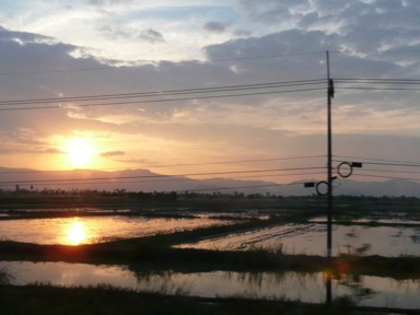 共通の米作り文化で共通の田園風景