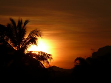 にじむ夕景がヤシの木と山に沈む