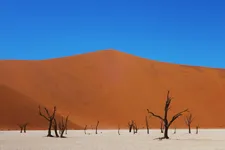 ナミブ砂漠の写真