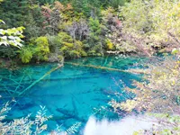 九寨溝の写真