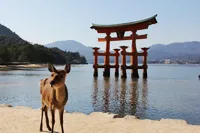 広島の写真