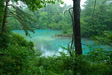 福島の写真