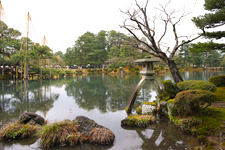 石川の写真