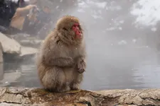 長野の写真