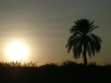 アスワンの船から眺める沈んではまた現れるナイルの夕日