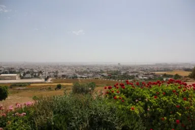 丘の上から眺めるカルタゴの町と花の景色