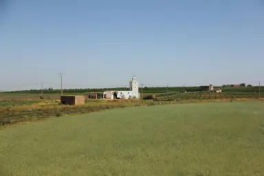 列車の車窓から見える花が咲く緑の大地とモスク