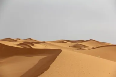 メルズーガのサハラ砂漠の直線のない砂の世界
