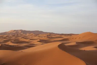 メルズーガのサハラ砂漠のいくつも続く砂の峰の風景