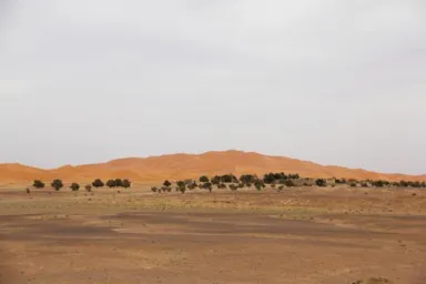 メルズーガの砂漠が大地に替わる場所を遠くから眺めた様子