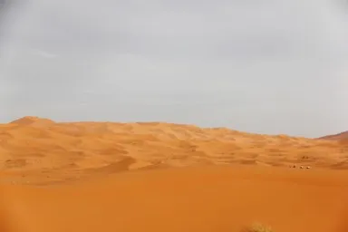 メルズーガの果てしなく広がるサハラ砂漠の風景