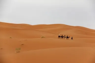 メルズーガの砂漠をラクダに乗って移動する人々
