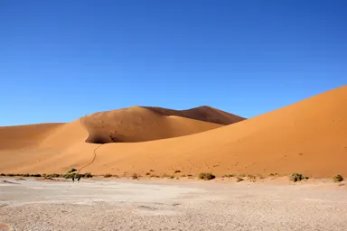 ナミブ砂漠の自由な曲線の形をした砂の峰のビックダディ