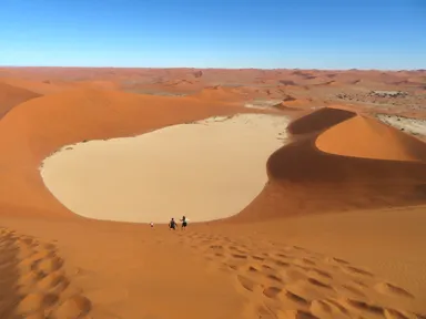 ナミブ砂漠の砂丘をデッドフレイに向かって駆け降りる様子