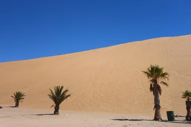 ウォルビス・ベイのデューン7の大地が砂丘に変わる場所の景色