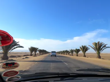 スワコップムントの砂漠の中を走る道の個性的な街路樹が延びる風景