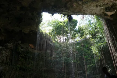地中のはるか下にあるセノーテのイク・キルの地表を眺めた光景
