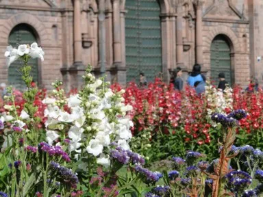 クスコのアルマス広場の花々が鮮やかに咲く様子