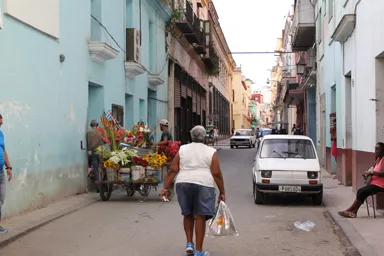 ハバナの裏路地の花の移動販売をする人の光景