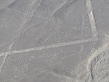 ナスカのセスナから眺めるシャチの地上絵の姿