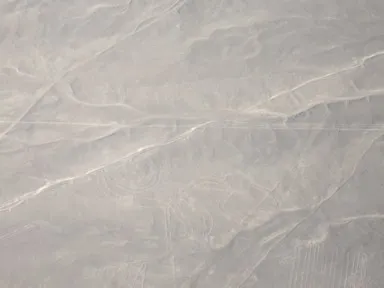 ナスカのセスナから眺めるサルの地上絵の景色