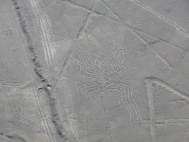 ナスカのセスナから眺めるクモの地上絵の様子